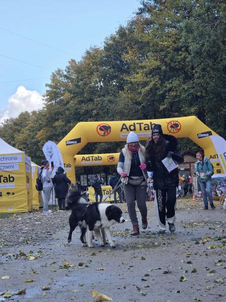 Finał Pucharu Polski w Dogtrekkingu ponownie w Złotym Stoku i Górach Złotych. Znamy wyniki
