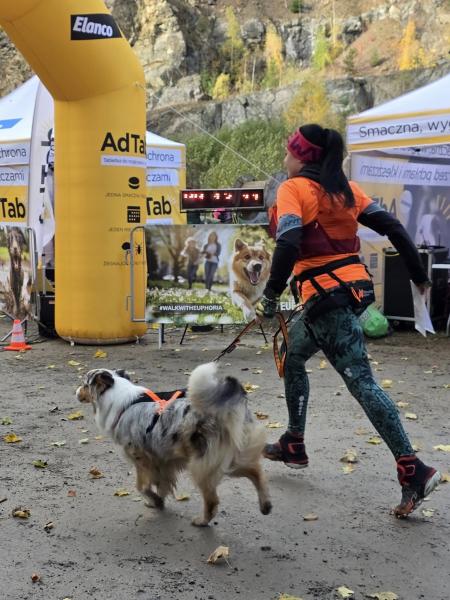 Finał Pucharu Polski w Dogtrekkingu ponownie w Złotym Stoku i Górach Złotych. Znamy wyniki
