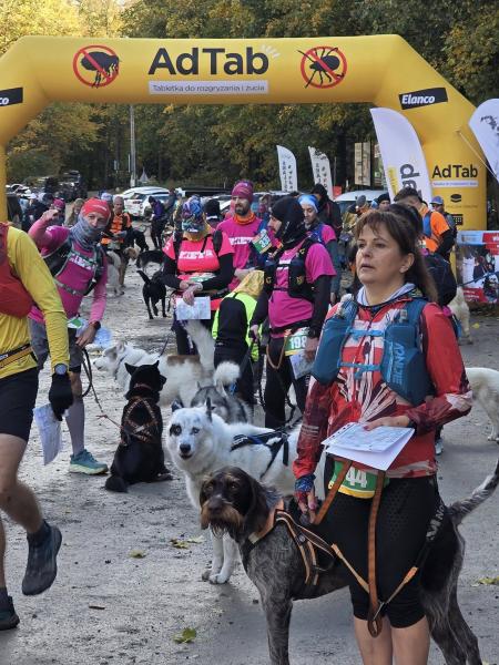 Finał Pucharu Polski w Dogtrekkingu ponownie w Złotym Stoku i Górach Złotych. Znamy wyniki