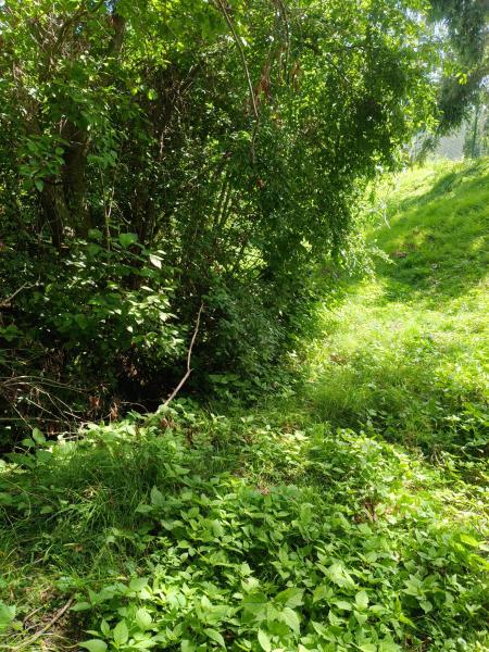 Zakończono kolejny etap prac konserwacyjnych cieku wodnego w Piotrowicach Polskich