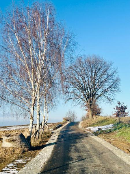 Odcinek Cyklostrady Dolnośląskiej przebiegający przez gminę Ziębice oddany do użytku