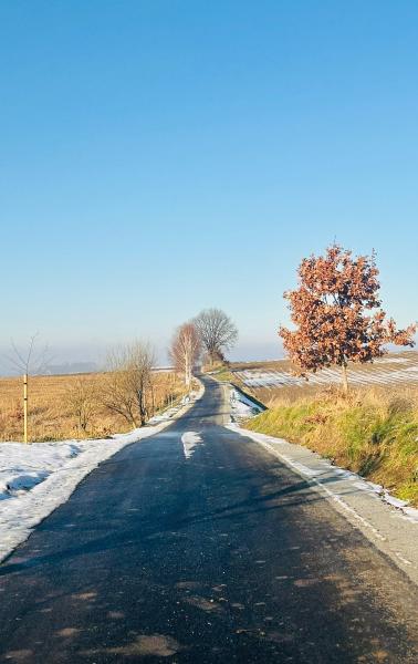 Odcinek Cyklostrady Dolnośląskiej przebiegający przez gminę Ziębice oddany do użytku