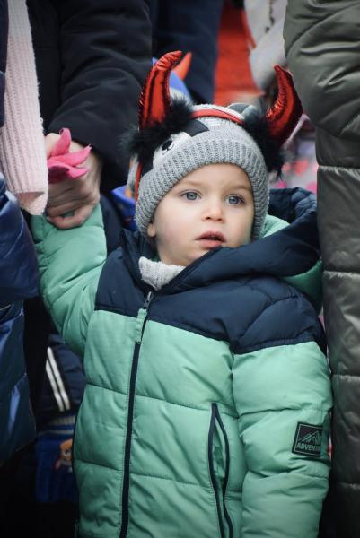 Orszak Trzech Króli w Ziębicach [foto]