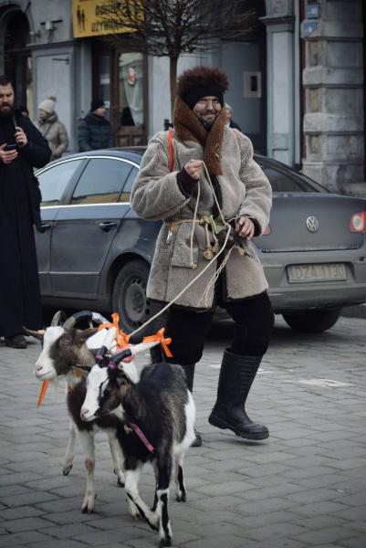 Orszak Trzech Króli w Ziębicach [foto]