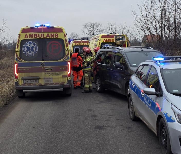 Dachowanie w Henrykowie