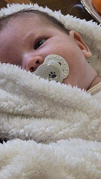 Nowi mieszkańcy Złotego Stoku oficjalnie powitani przez burmistrz