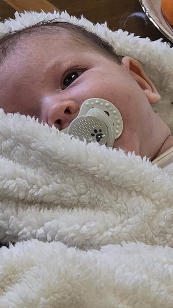 Nowi mieszkańcy Złotego Stoku oficjalnie powitani przez burmistrz