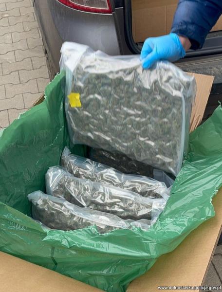 Ząbkowiccy policjanci przechwycili 59 kg marihuany. 32-latek trafił do aresztu