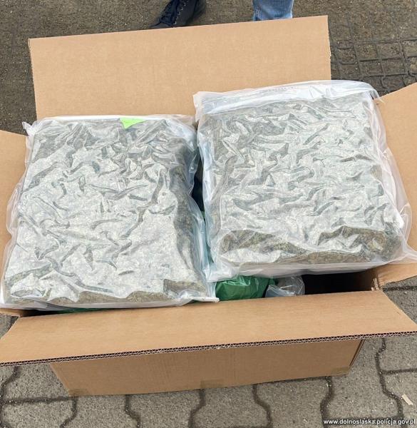 Ząbkowiccy policjanci przechwycili 59 kg marihuany. 32-latek trafił do aresztu