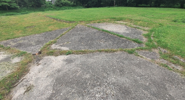 Miejsce realizacji projektu: polana przy rzece stan obecny: to miejsce zmieni się najbardziej!