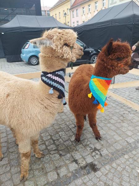 Jarmark wielkanocny w Ząbkowicach Śląskich