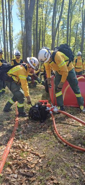 Drugi dzień ćwiczeń GFFF Poland. Strażacy przygotowują się do walki z pożarami lasów
