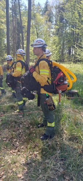 Drugi dzień ćwiczeń GFFF Poland. Strażacy przygotowują się do walki z pożarami lasów