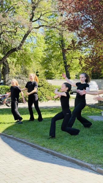 Majówka z Ziębickim Centrum Kultury