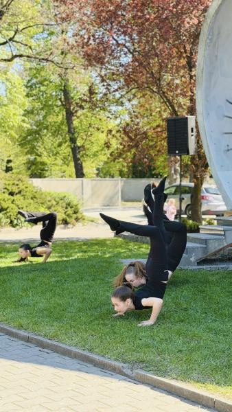 Majówka z Ziębickim Centrum Kultury