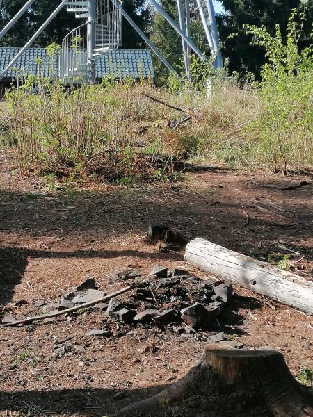 Ognisko bez nadzoru i akty wandalizmu na Kłodzkiej Górze. Nadleśnictwo apeluje o rozsądek