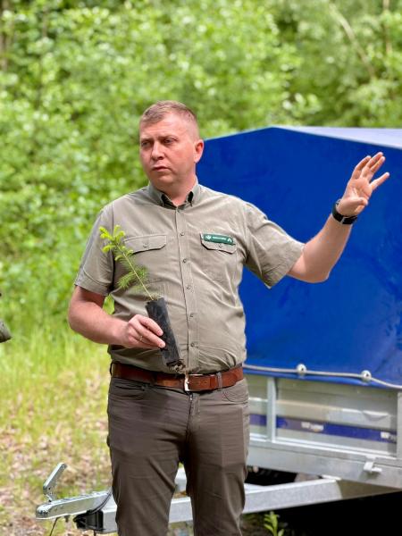 Pół tysiąca nowych drzew w Lesie Muszkowickim. Samorządowcy i leśnicy wspólnie sadzili świerki