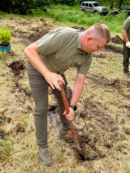 Pół tysiąca nowych drzew w Lesie Muszkowickim. Samorządowcy i leśnicy wspólnie sadzili świerki