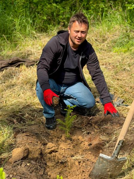 Pół tysiąca nowych drzew w Lesie Muszkowickim. Samorządowcy i leśnicy wspólnie sadzili świerki