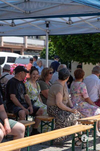 Wojewódzki Festiwal Orkiestr, Big-Bandów i Grup Mażoretek w Ząbkowicach Śląskich