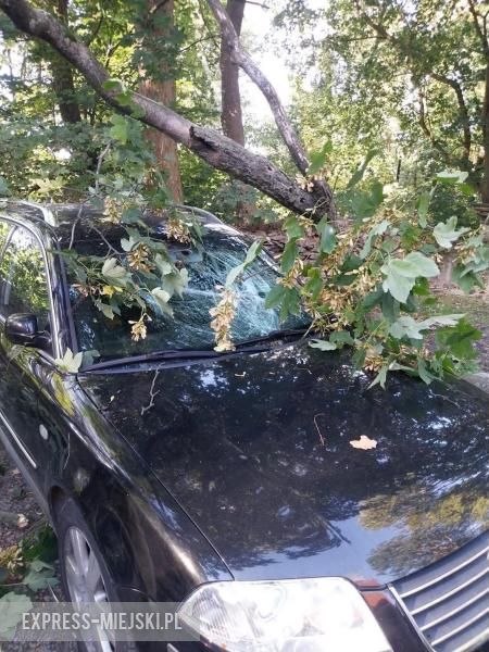 Konar drzewa spadł na samochód osobowy