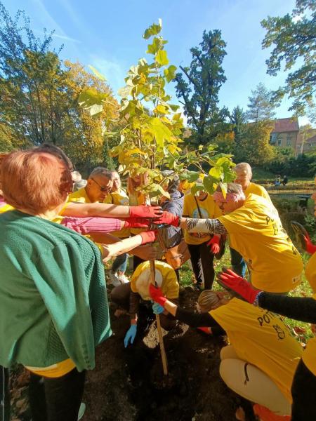 2. Piknik integracyjny w Parku Sybiraków. Wspólnie sadzili drzewka i uczestniczyli w warsztatach