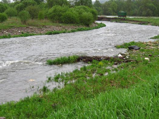 Rzeka w Trzebieszowicach