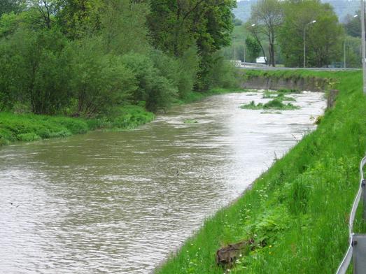 Rzeka w Trzebieszowicach