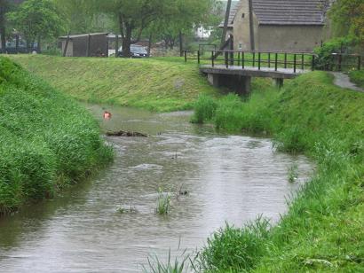 Rzeka w Ziębicach