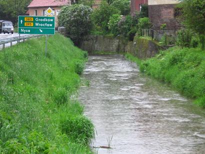 Rzeka w Ziębicach