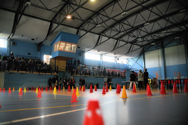 Olimpiada przedszkolaków w Hali Słonecznej