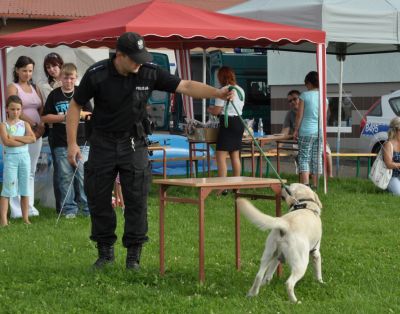 Komisarz Lew w Ciepłowodach 