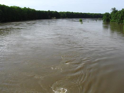 Lubiąż zalany