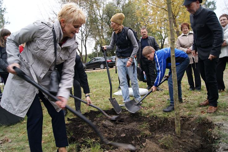 Pegaz dla Ziębic