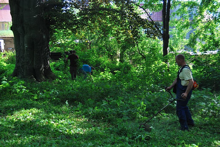 Stolecki park odzyskuje swój urok