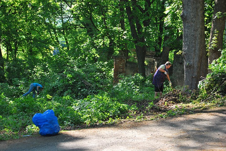 Stolecki park odzyskuje swój urok