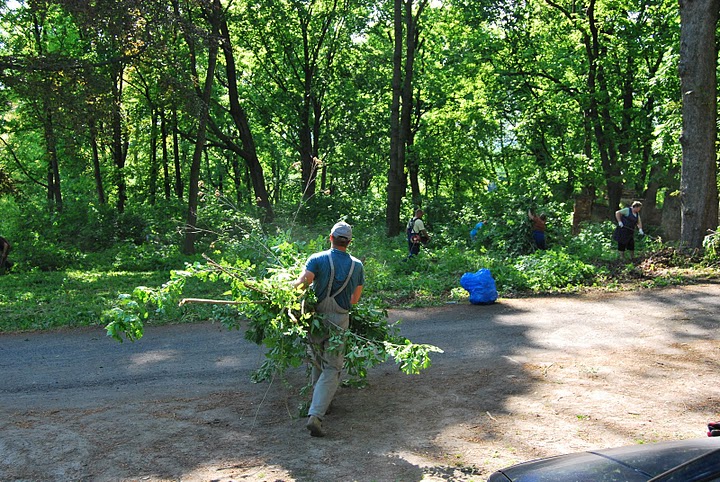 Stolecki park odzyskuje swój urok