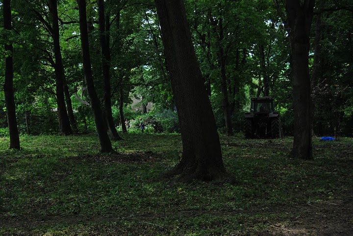 Stolecki park odzyskuje swój urok