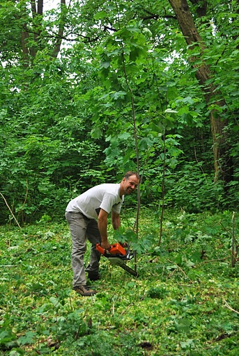 Stolecki park odzyskuje swój urok