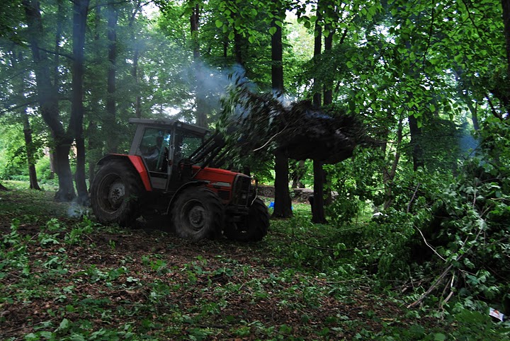 Stolecki park odzyskuje swój urok