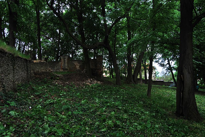 Stolecki park odzyskuje swój urok