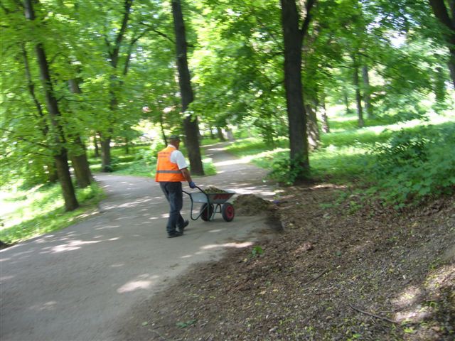 Sprzątanie Ząbkowic Śl.