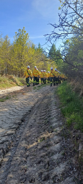 Ćwiczenia specjalistyczne strażaków w Ciepłowodach