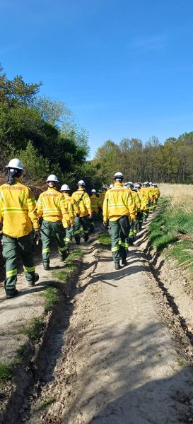 Ćwiczenia specjalistyczne strażaków w Ciepłowodach
