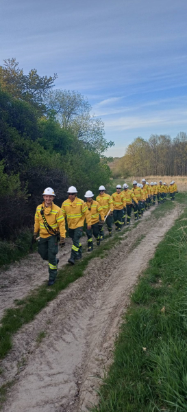 Ćwiczenia specjalistyczne strażaków w Ciepłowodach