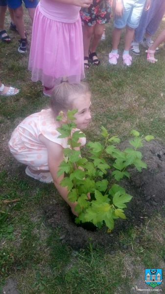 W akcji uczestniczyło ok. 250 mieszkańców w tym dzieci z przedszkoli, szkół, Stowarzyszenie Klub Seniora Przyjaciele Ząbkowice Śląskie oraz pensjonariusze DPS w Ząbkowicach Śląskich