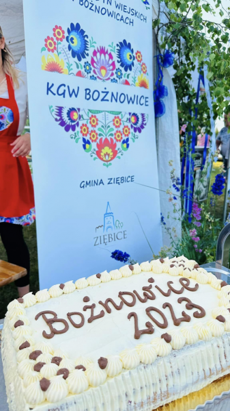 Festyn rodzinny w Bożnowicach