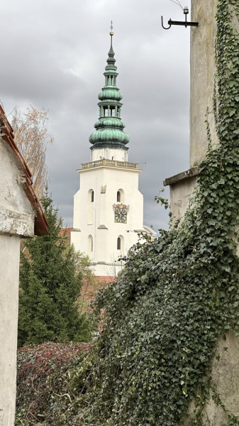 Opactwo Cysterskie w Henrykowie coraz bliżej wpisania na listę Pomników Historii