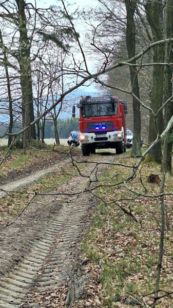 Pożar samochodu w lesie koło Błotnicy
