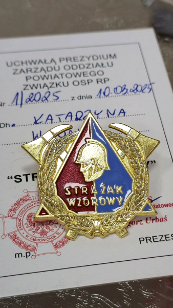 Obchody Dnia Strażaka w Złotym Stoku